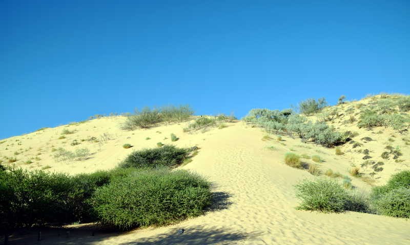 WITSAND IN DIE KALAHARI: WAAR DIE STILTE VERBREEK WORD DEUR DIE GEBRUL VAN SAND